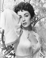 Elizabeth Taylor Longsleeve T-shirt #2591881