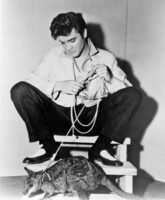 Elvis Presley mug #G831929