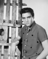 Elvis Presley mug #G831956