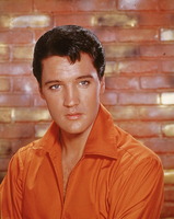 Elvis Presley Longsleeve T-shirt #2590027