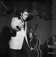 Elvis Presley Longsleeve T-shirt #2590097