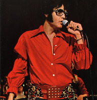 Elvis Presley Longsleeve T-shirt #2671935