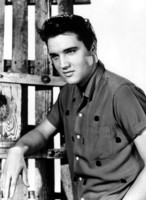 Elvis Presley Longsleeve T-shirt #2672026