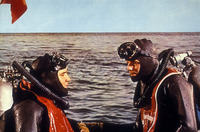 Elvis Presley t-shirt #2672046