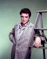 Elvis Presley mug #G914248