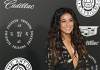 Emmanuelle Chriqui tote bag #G1271591