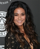 Emmanuelle Chriqui tote bag #G1271605