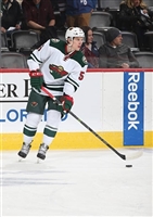 Erik Haula Longsleeve T-shirt #3575643