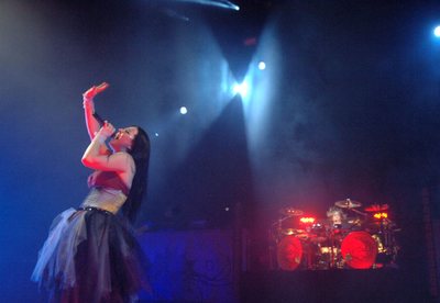 Evanescence Poster 2529040