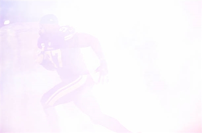 Everson Griffen Poster 3475835