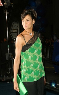 Famke Janssen posters