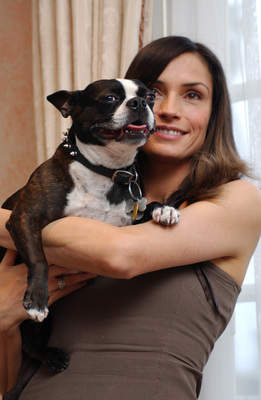 Famke Janssen posters