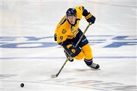 Filip Forsberg Longsleeve T-shirt #3536576