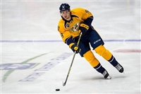 Filip Forsberg Longsleeve T-shirt #3536641