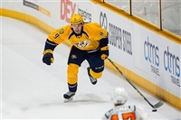 Filip Forsberg Longsleeve T-shirt #3536670
