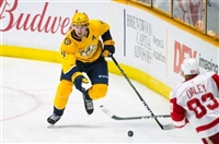 Filip Forsberg Sweatshirt #3536792