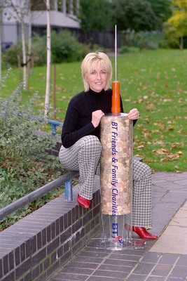 Fiona Phillips canvas poster