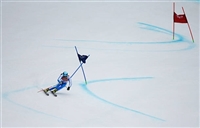 Francesca Marsaglia Tank Top #3640758