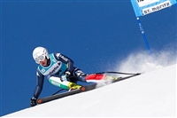 Francesca Marsaglia Sweatshirt #3640776