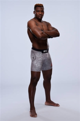 Francis Ngannou stickers 3517949