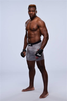 Francis Ngannou stickers 3517966