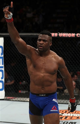 Francis Ngannou stickers 3517973
