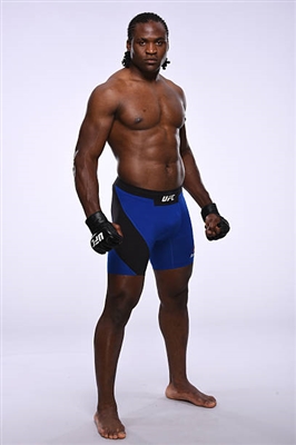 Francis Ngannou posters