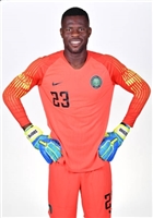 Francis Uzoho hoodie #3339894