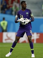 Francis Uzoho Sweatshirt #3339900