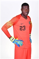 Francis Uzoho hoodie #3339927