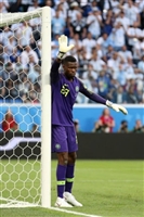 Francis Uzoho hoodie #3339928