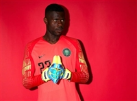 Francis Uzoho hoodie #3339933