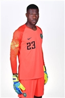 Francis Uzoho hoodie #3339936