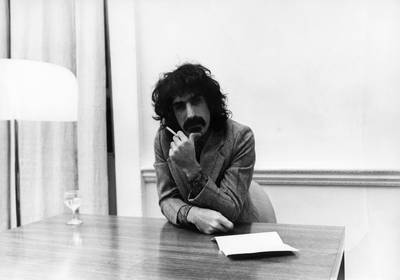 Frank Zappa puzzle 2529450