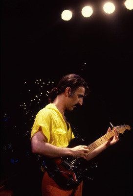 Frank Zappa Poster 2529453