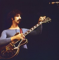 Frank Zappa t-shirt #2529460