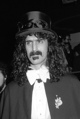Frank Zappa puzzle 2529495