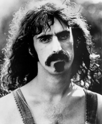 Frank Zappa stickers 2529498