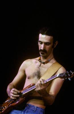 Frank Zappa Poster 2529524