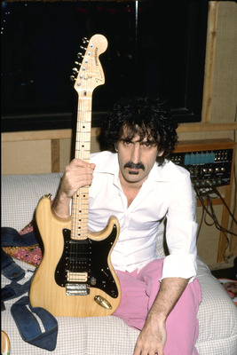 Frank Zappa Poster 2529526