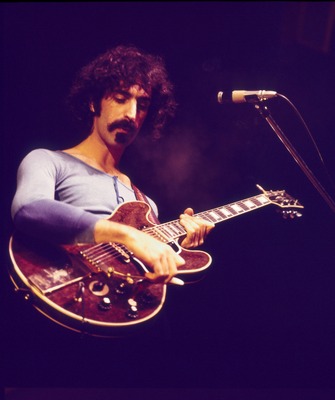 Frank Zappa puzzle 2529628