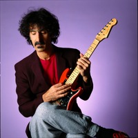 Frank Zappa t-shirt #2546989