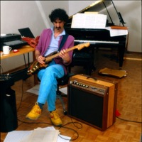 Frank Zappa t-shirt #2546992