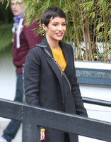 Frankie Bridge Sweatshirt #3247210