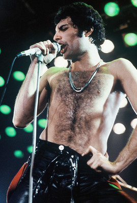 Freddie Mercury Poster 2893837