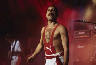 Freddie Mercury Poster 2893840