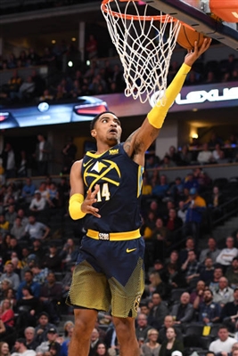 Gary Harris Poster 3402585