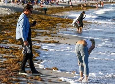 Gavin Rossdale posters