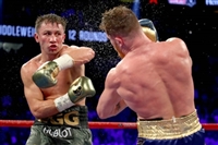 Gennady Golovkin hoodie #3580781