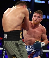 Gennady Golovkin hoodie #3580791